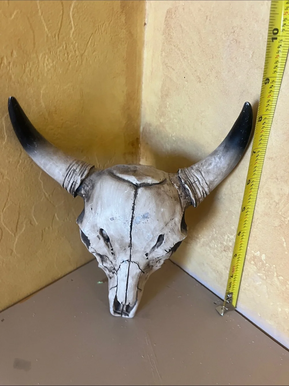 Decorative Faux Bull Skull Wall Art - Cream and Black